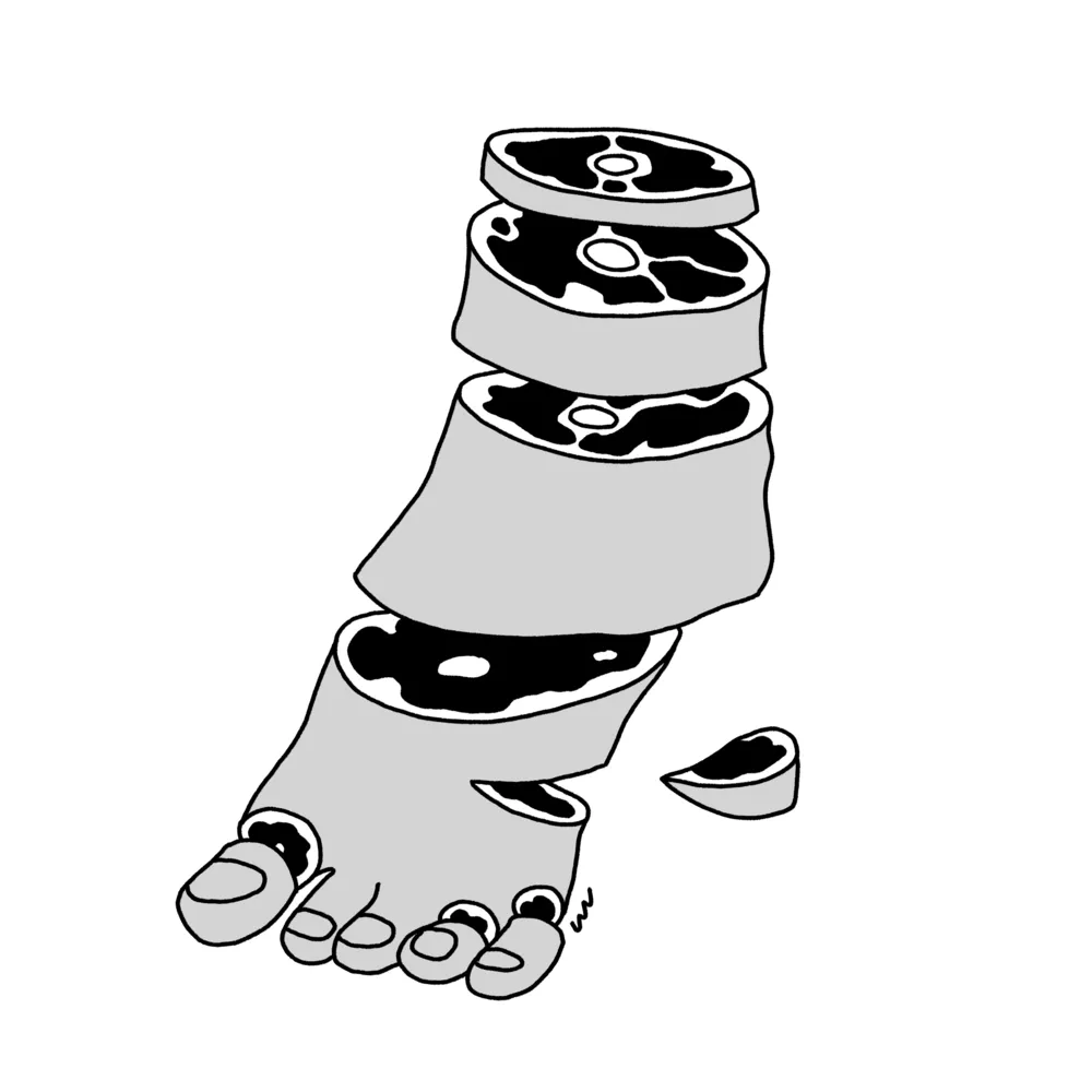 Illustration 20210828